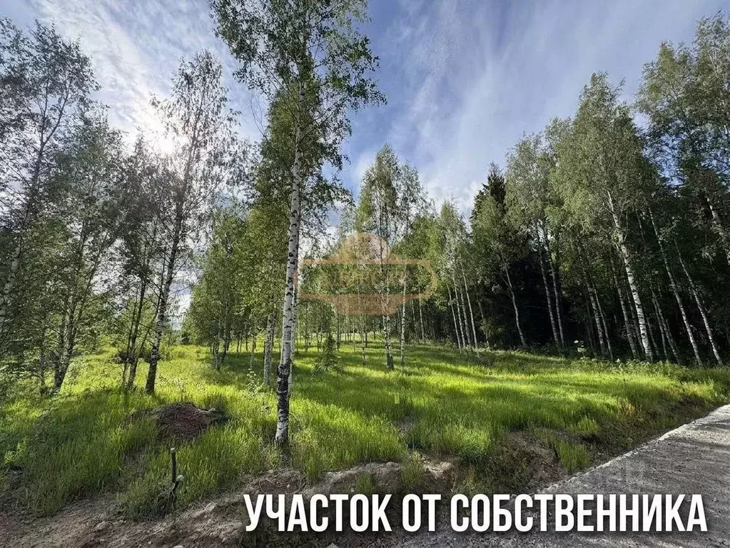 Участок в Ленинградская область, Всеволожский район, Куйвозовское ... - Фото 1