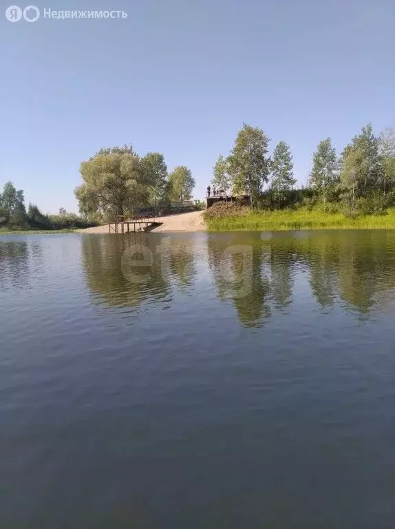 Участок в Колыванский район, ДНТ Сибирская Волость, Богатырская улица ... - Фото 0