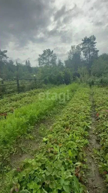 Участок в Свердловская область, Верхняя Пышма городской округ, пос. ... - Фото 1