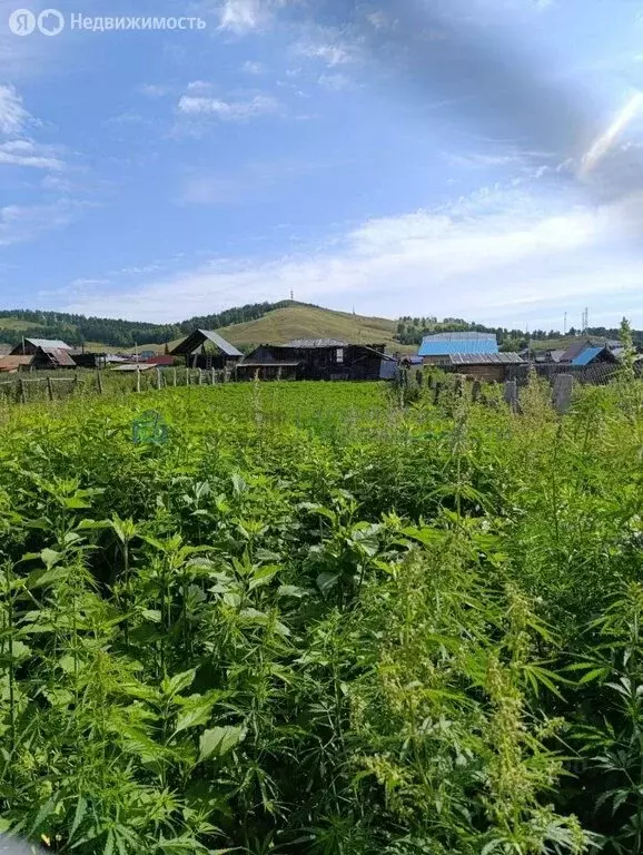 Участок в село Абзаково, Набережная улица, 23 (20 м) - Фото 2