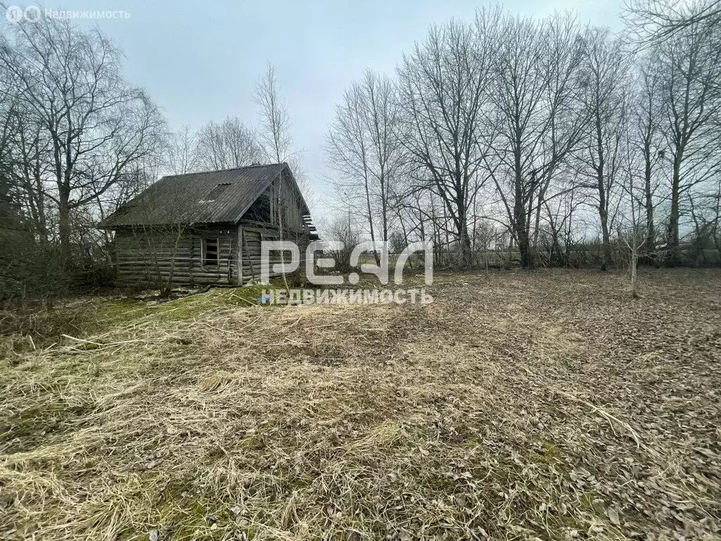 Участок в Волосовский район, Бегуницкое сельское поселение, деревня ... - Фото 2
