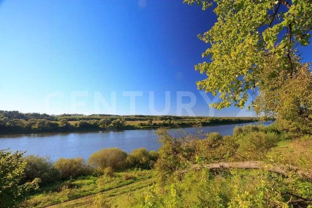 Дом в Тульская область, Алексин городской округ, д. Егнышевка 9 (146 ... - Фото 1