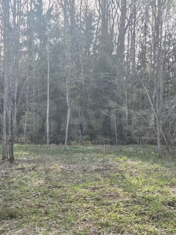 Участок 28,1 сот. (СНТ, ДНП) - Фото 1