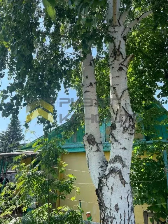 Дом в Омская область, Омск СОСН Энергетик-1 тер., аллея 3-я (60 м) - Фото 1