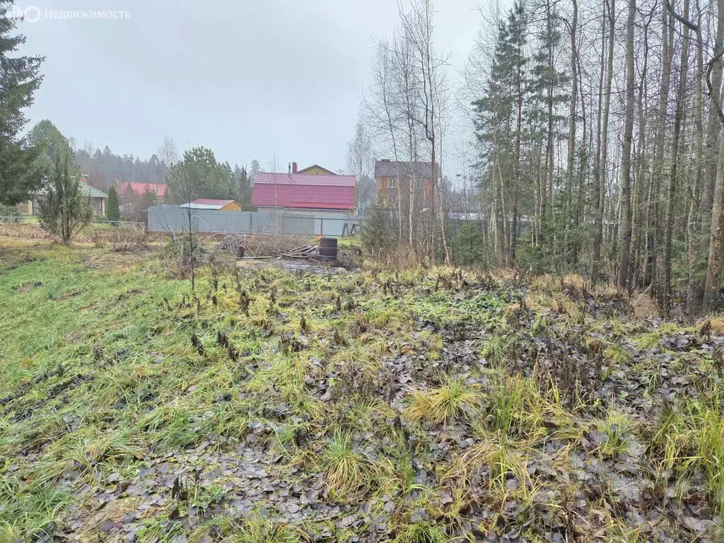 Участок в Медведевский район, Сидоровское сельское поселение, деревня ... - Фото 1