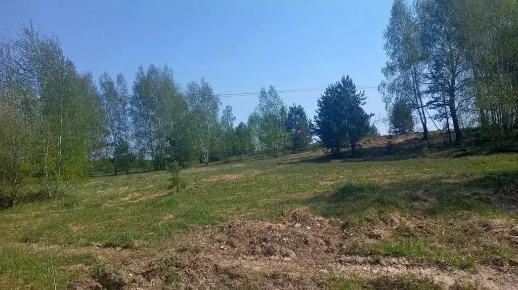 Участок в Московская область, Орехово-Зуевский городской округ, д. ... - Фото 1