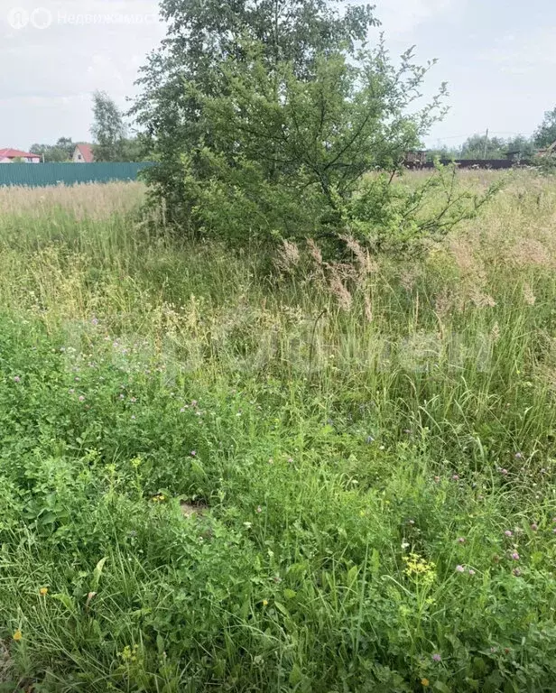 Участок в Московская область, Волоколамский муниципальный округ, СНТ ... - Фото 2