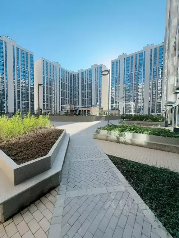 Студия Санкт-Петербург ул. Типанова, 22 (28.0 м) - Фото 2