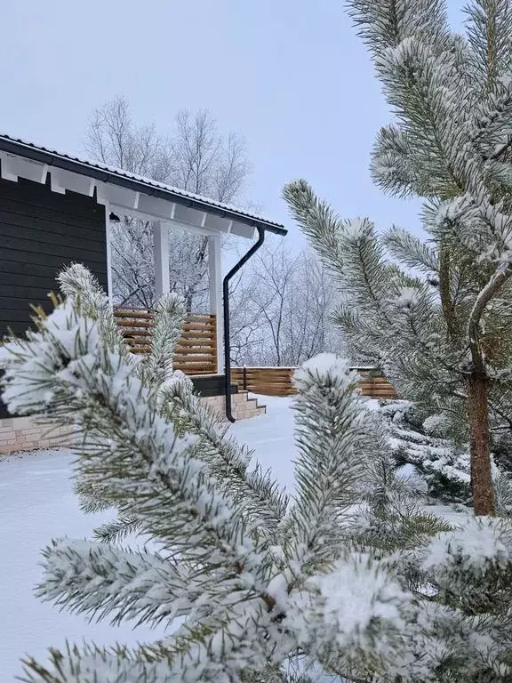 Дом в Саратовская область, Энгельсский район, Терновское муниципальное ... - Фото 1