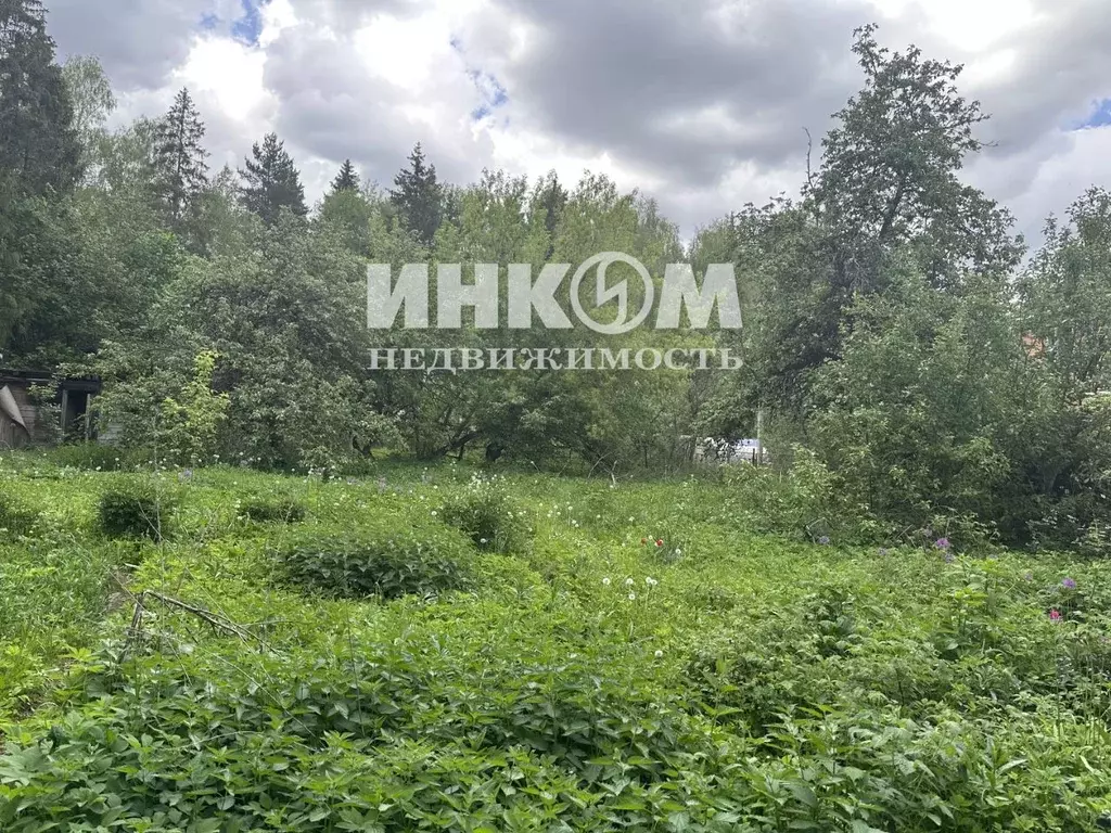 Участок в Московская область, Одинцовский городской округ, Вязы СНТ 88 ... - Фото 1