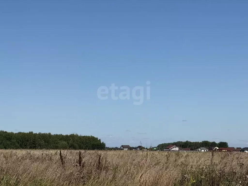 Участок в Тюменская область, Тюменский муниципальный округ, Новая ... - Фото 2