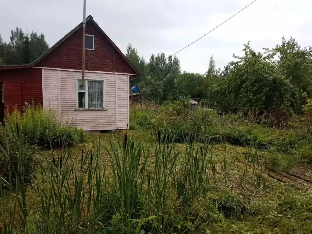 Участок в Ленинградская область, Кировский район, Мгинское городское ... - Фото 2