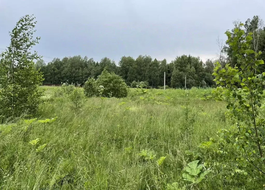 Участок в Московская область, Пушкинский городской округ, Грибановские ... - Фото 1