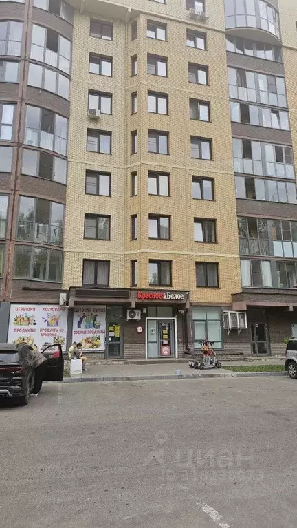 Помещение свободного назначения в Московская область, Мытищи городской ... - Фото 1