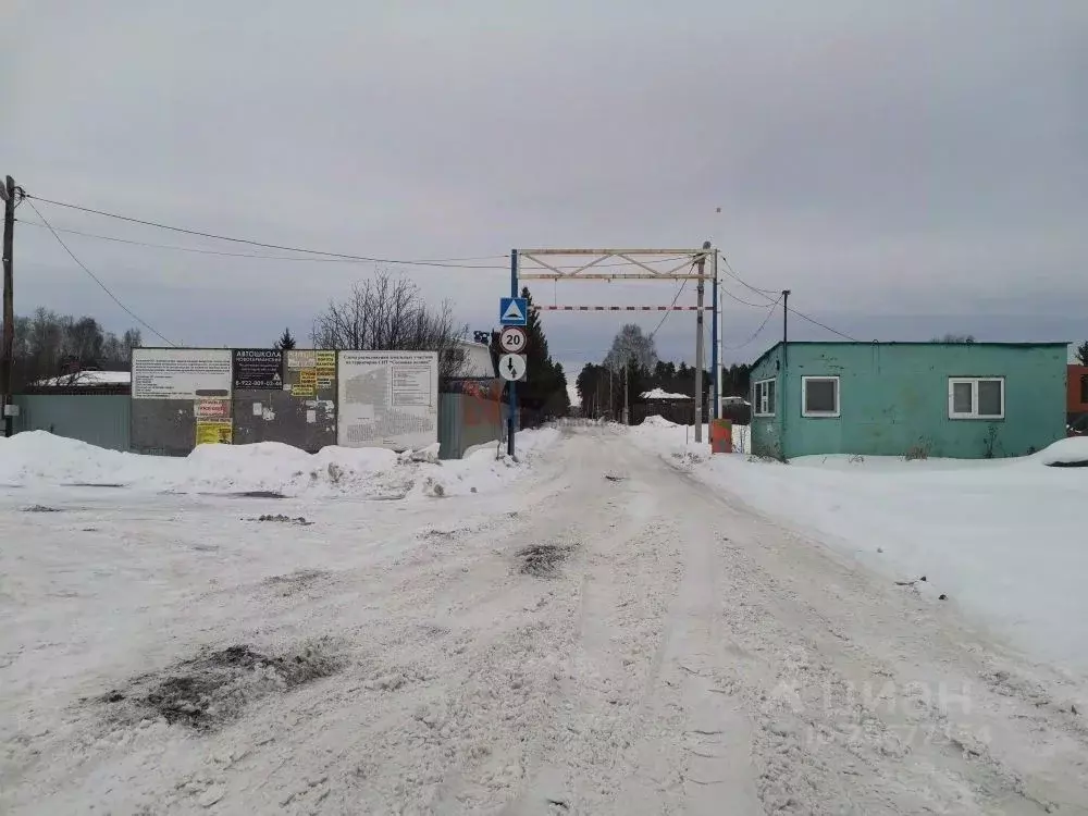 Участок в Тюменская область, Тюмень городской округ, Сосновая Поляна ... - Фото 1