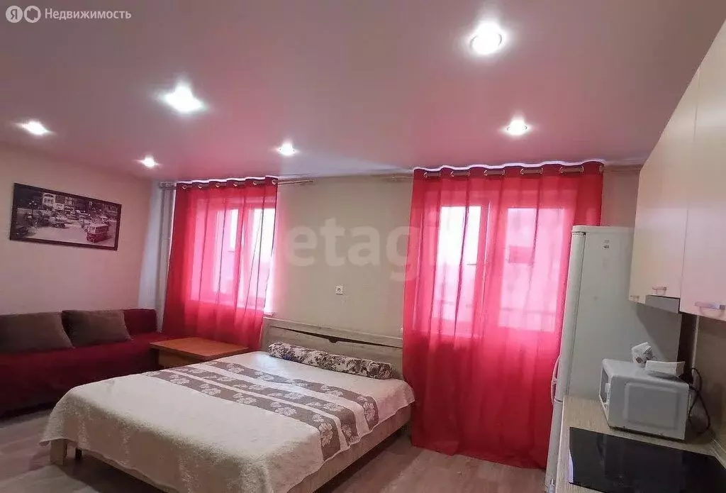 Квартира-студия: Тюмень, улица Пермякова, 79 (30 м) - Фото 1