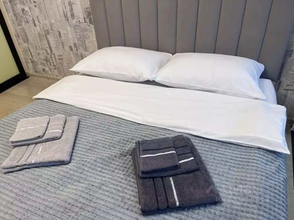 Студия Татарстан, Казань ул. Декабристов, 129 (29.0 м) - Фото 2