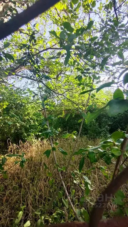 Участок в Ростовская область, Новочеркасск ул. Ромашковая, 9 (6.0 ... - Фото 1