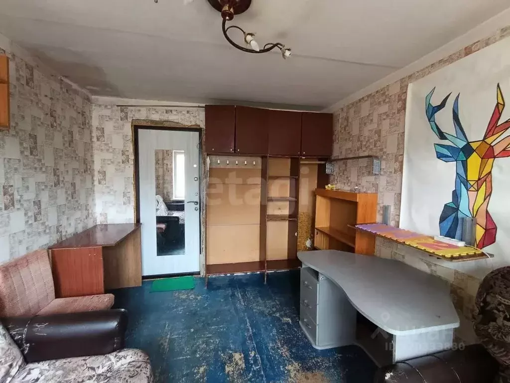 Комната Белгородская область, Белгород ул. Пушкина (11.6 м) - Фото 1