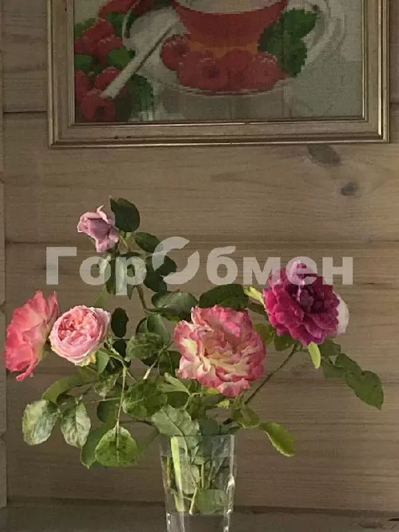 Продается дом в д. Романцево - Фото 1