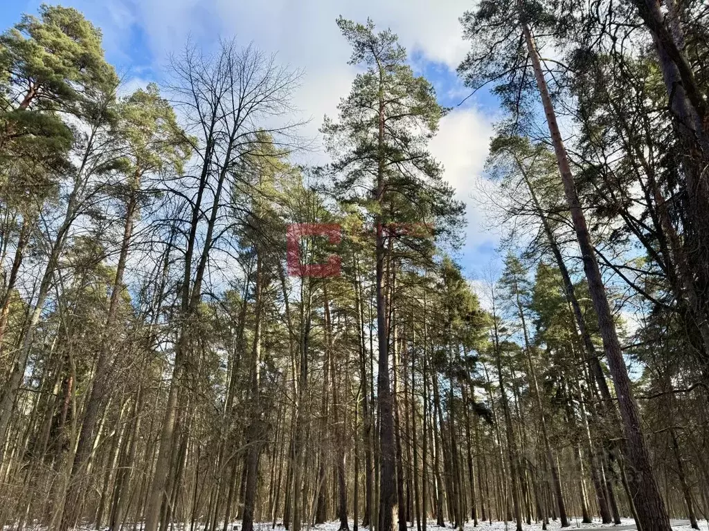 Участок в Московская область, Одинцовский городской округ, пос. ... - Фото 0