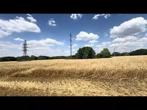 Участок 30 сот. (СНТ, ДНП) - Фото 1