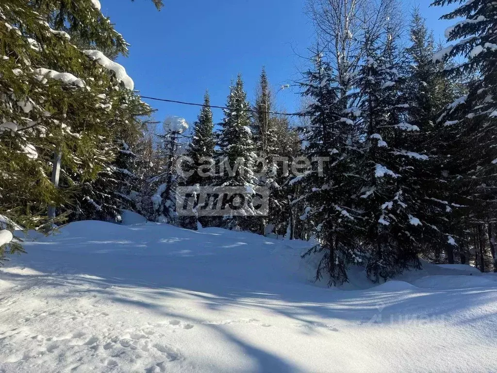 Участок в Кемеровская область, Таштагольский район, Шерегешское ... - Фото 1