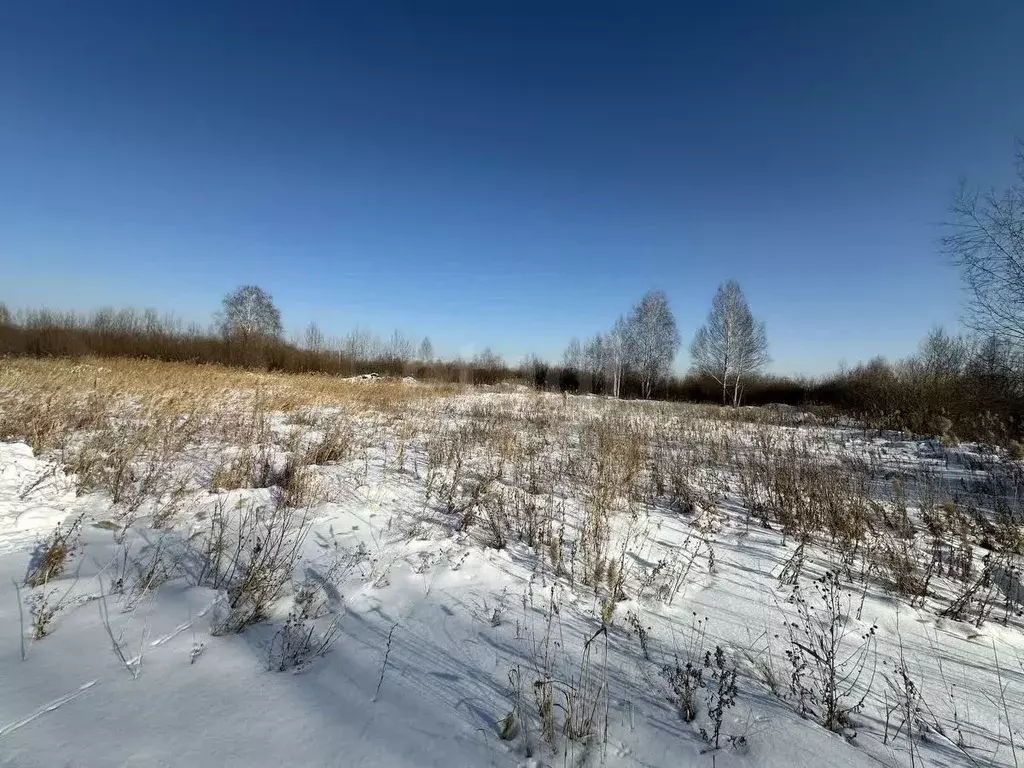Участок в Тюменская область, Тюмень Поле Чудес садовое товарищество, ... - Фото 0