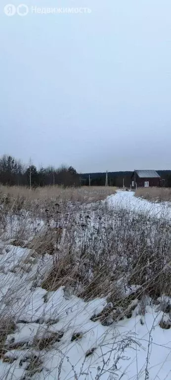 Участок в Нижегородская область, Богородский муниципальный округ, ... - Фото 0