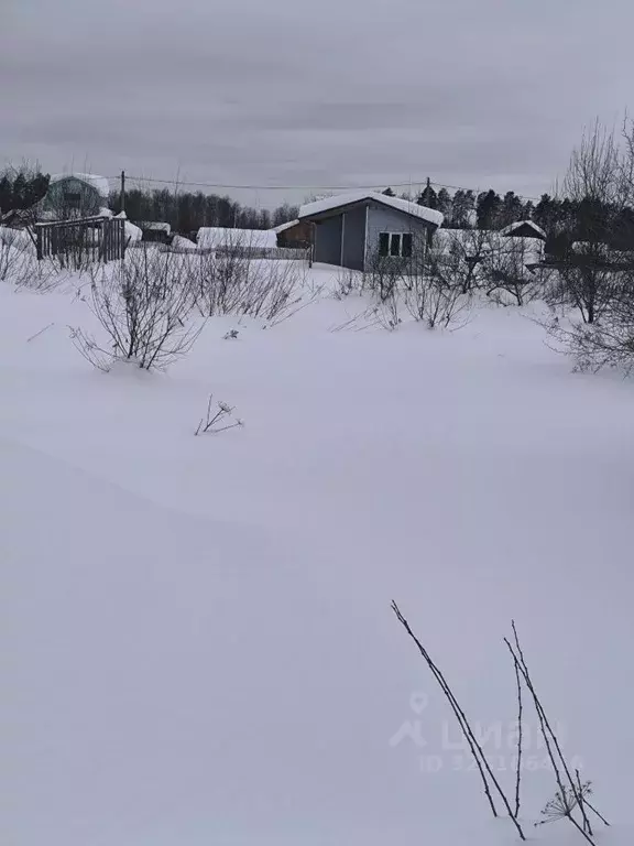 Участок в Марий Эл, Медведевский район, Сидоровское с/пос, Новотроицк ... - Фото 1