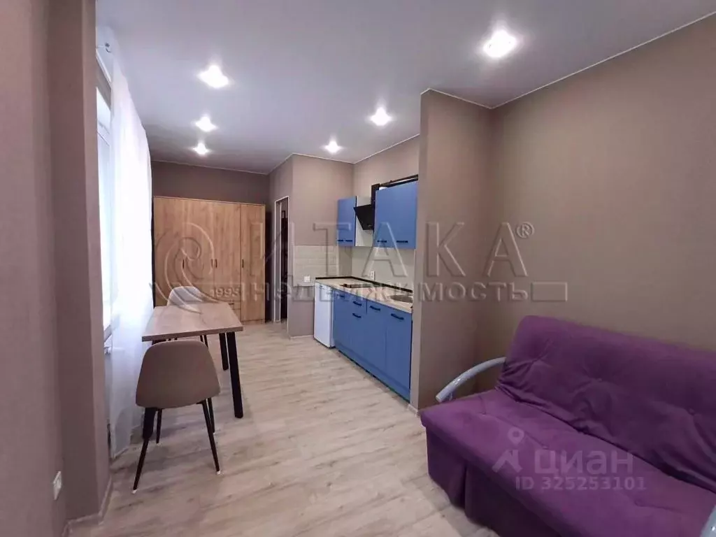 Студия Санкт-Петербург Львовская ул., 9 (25.12 м) - Фото 2