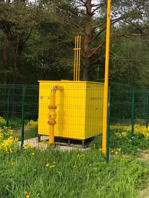 Участок в Ленинградская область, Всеволожский район, Куйвозовское ... - Фото 1