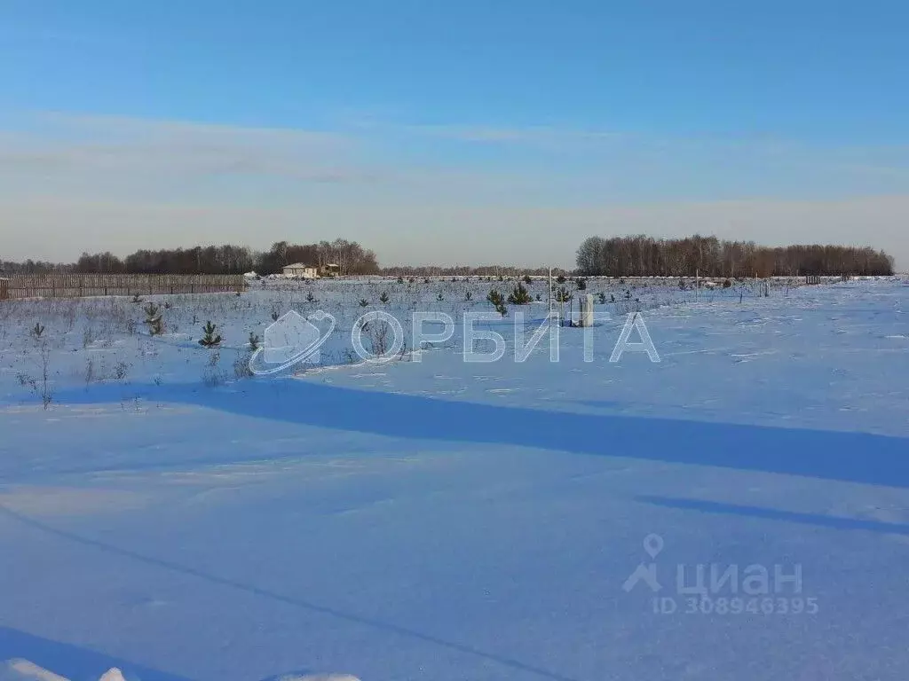 Участок в Тюменская область, Тюменский район, Новокаменский кп  (6.0 ... - Фото 1