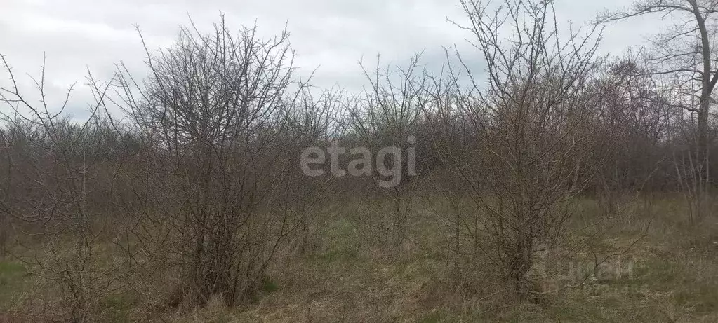 Участок в Белгородская область, Белгородский район, Дубовское с/пос, ... - Фото 1