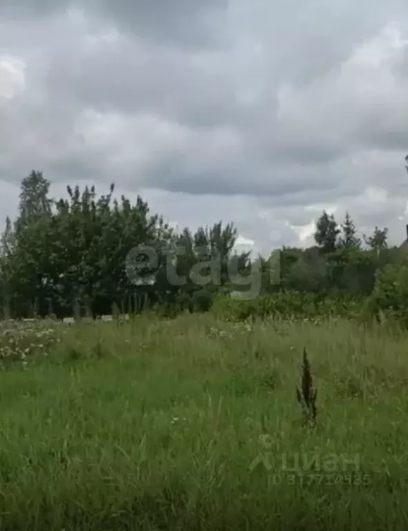 Участок в Тюменская область, Тюмень городской округ, Сосновая Поляна ... - Фото 0