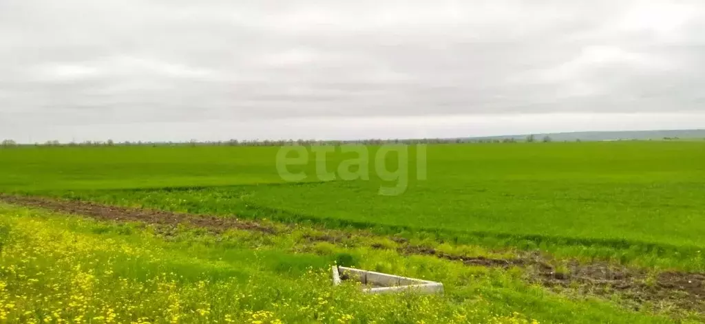 Участок в Крым, Кировский район, Яркополенское с/пос, с. Софиевка ул. ... - Фото 1