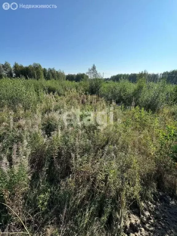 Участок в село Корнилово, улица Жирова (8.7 м) - Фото 2