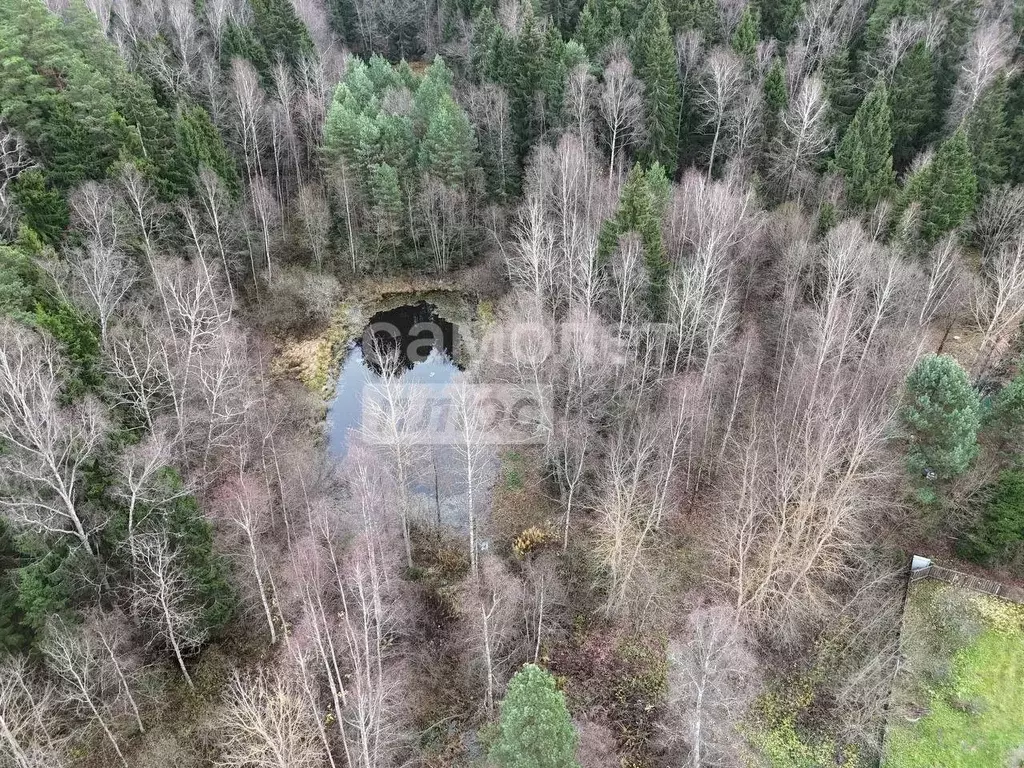 Участок в Калужская область, Боровский муниципальный округ, Восход ... - Фото 2