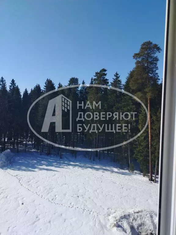 1-к кв. Пермский край, Добрянка ул. Герцена, 40А (34.3 м) - Фото 2