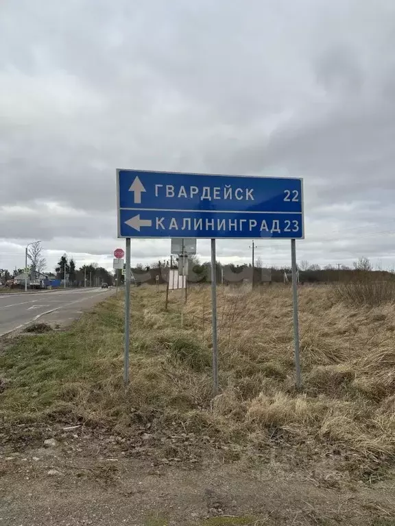 Участок в Калининградская область, Гвардейский муниципальный округ, ... - Фото 1