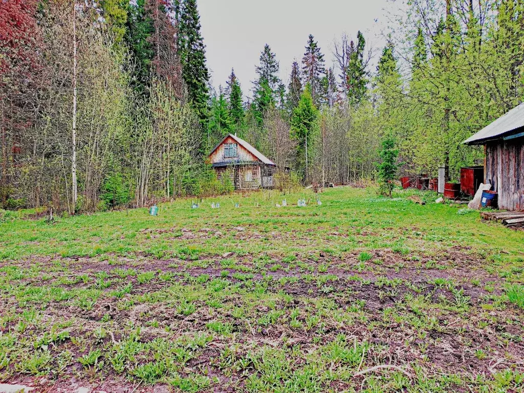 Дом в Пермский край, Пермь Земляничка СНТ,  (35 м) - Фото 0