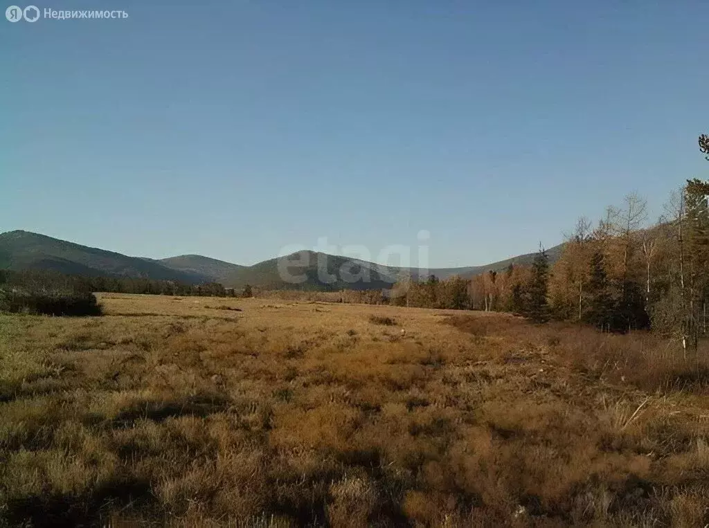 Участок в Иволгинский район, сельское поселение Иволгинское, село ... - Фото 1