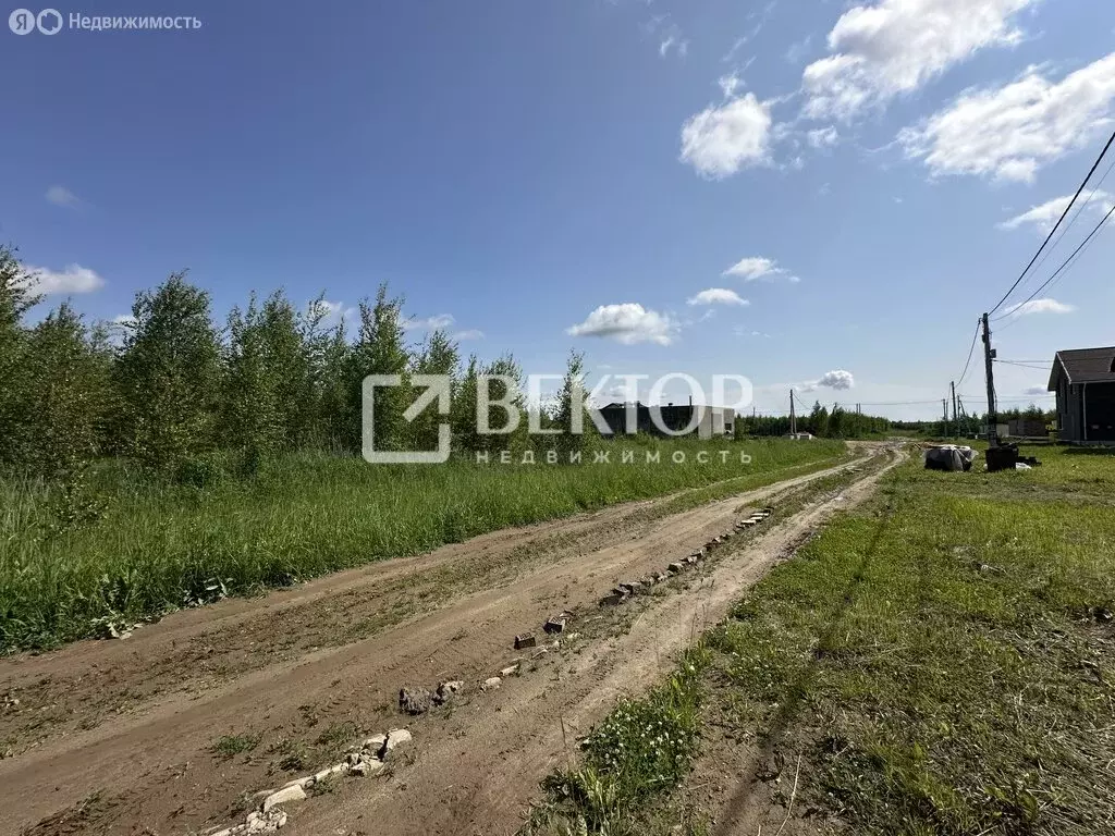 Участок в Костромской район, Бакшеевское сельское поселение, деревня ... - Фото 0