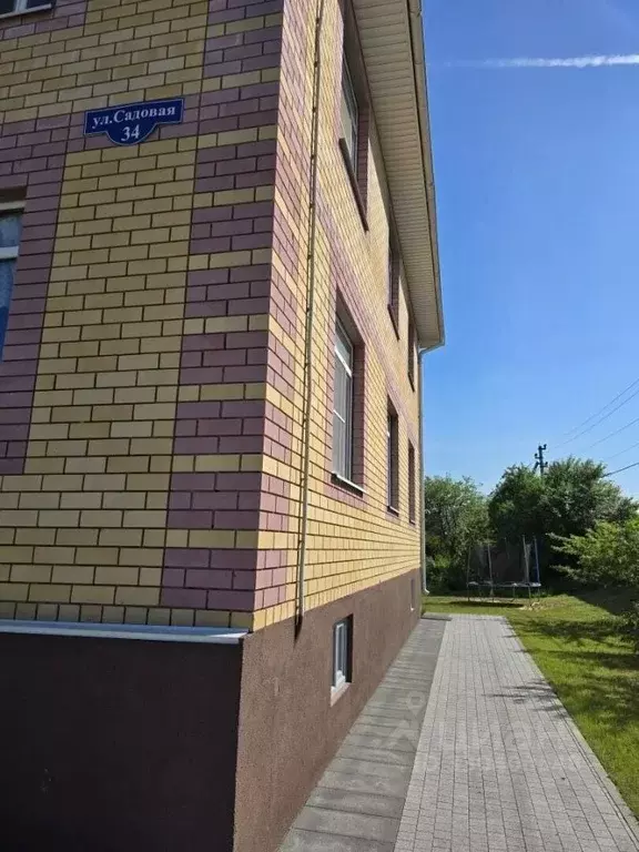 Дом в Нижегородская область, Нижний Новгород с. Большая Ельня, ул. ... - Фото 2