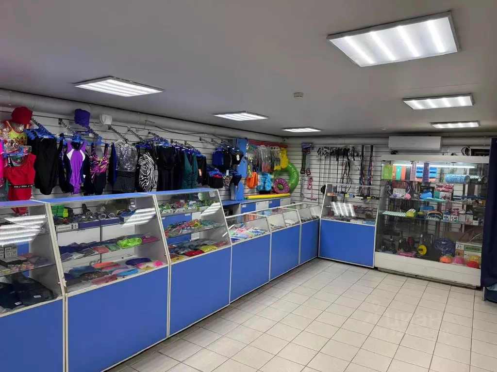 Помещение свободного назначения в Новосибирская область, Новосибирск ... - Фото 1