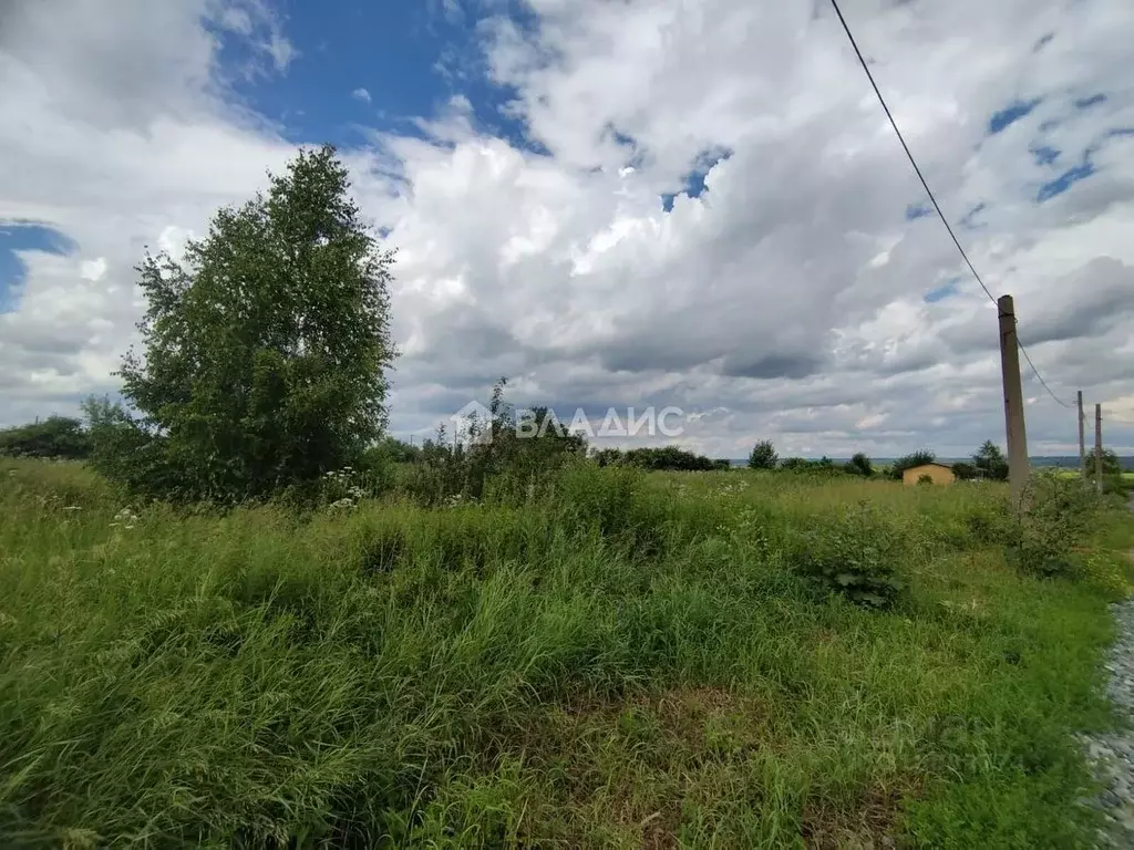 Участок в Кемеровская область, Кемеровский район, с. Елыкаево ... - Фото 1
