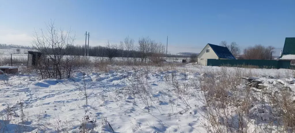 Участок в Саратовская область, Татищевский район, Идолгское ... - Фото 0