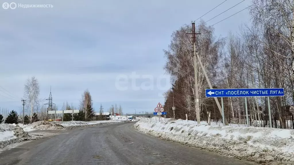 Участок в Новосибирская область, Коченёвский муниципальный район, СНТ ... - Фото 2