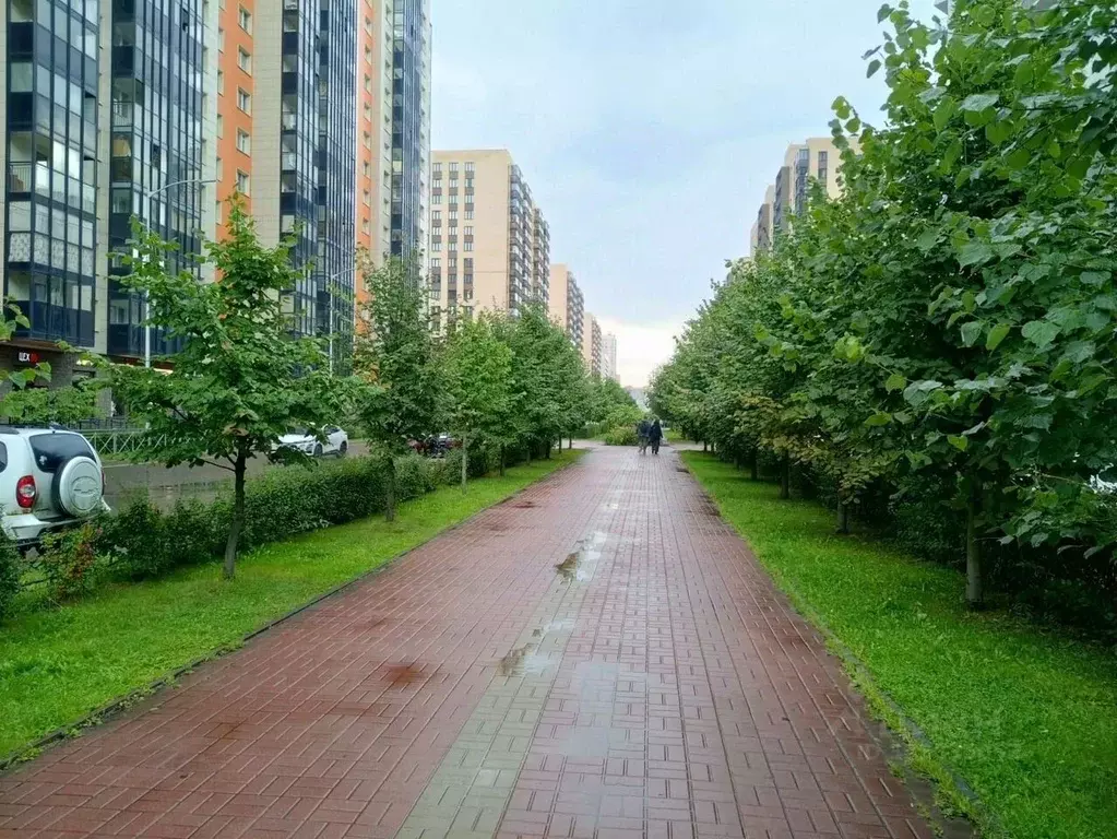 1-к кв. Ленинградская область, Мурино Всеволожский район, ул. ... - Фото 2