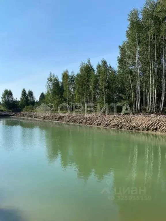 Участок в Тюменская область, Нижнетавдинский муниципальный округ, ... - Фото 1